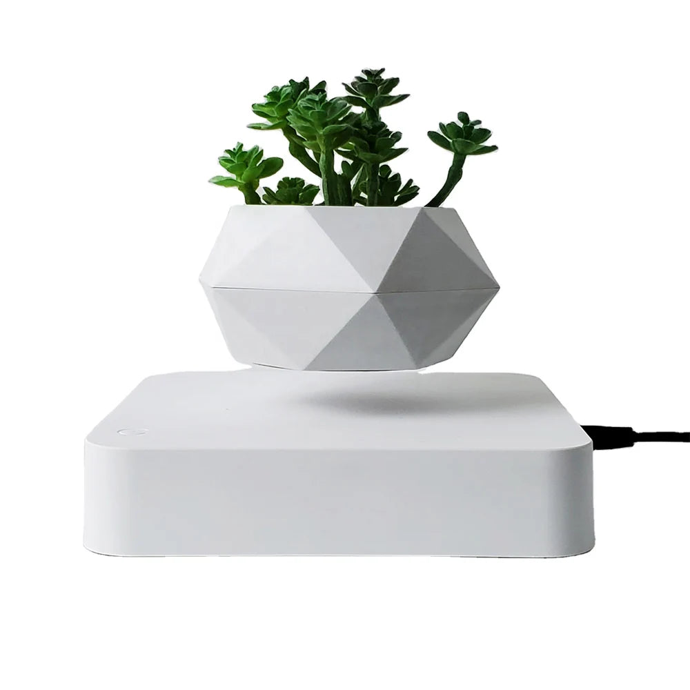Magnetic levitation plant